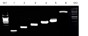 4a98b77ae1b440cf95ae189092c1fec0_1532656450_8077.jpg