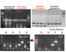 Enhanced Specificity image