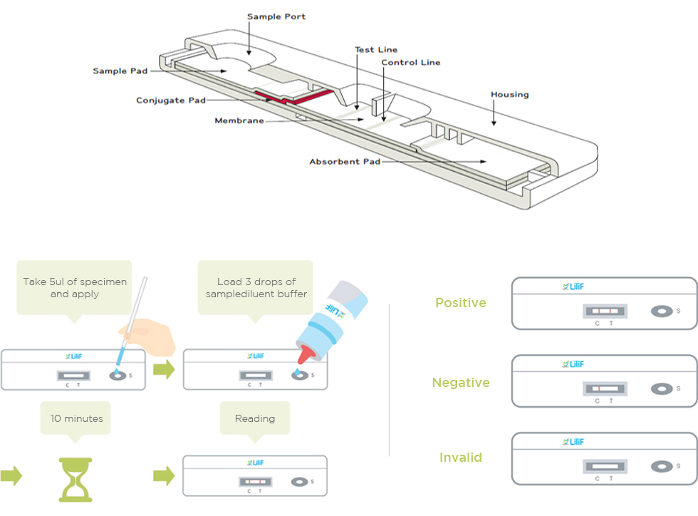 RaLF Technology image